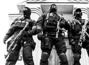 Защита от рейдерства